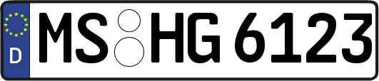 MS-HG6123