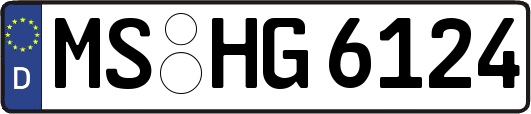 MS-HG6124