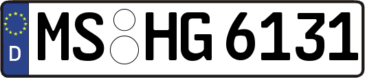 MS-HG6131