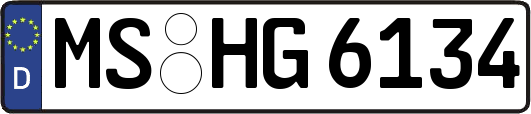 MS-HG6134