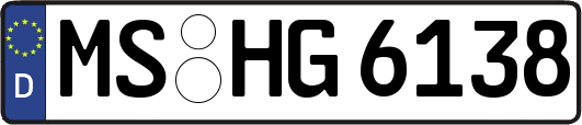 MS-HG6138