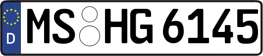 MS-HG6145