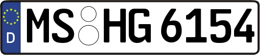MS-HG6154