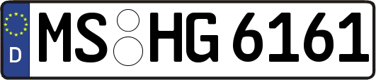 MS-HG6161