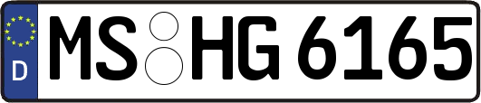 MS-HG6165
