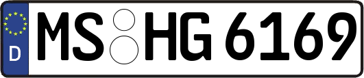 MS-HG6169