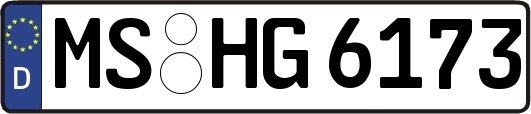 MS-HG6173