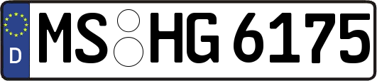 MS-HG6175