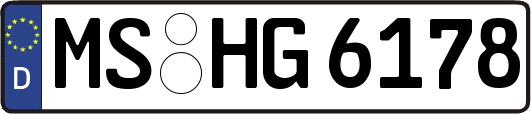 MS-HG6178