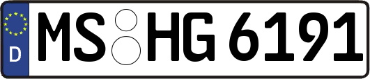 MS-HG6191