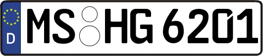 MS-HG6201