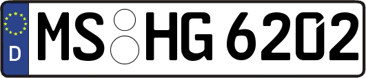 MS-HG6202