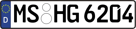 MS-HG6204