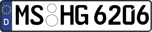 MS-HG6206