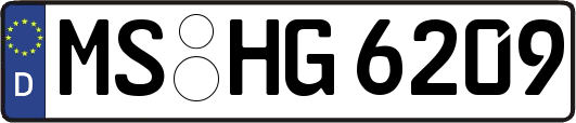 MS-HG6209