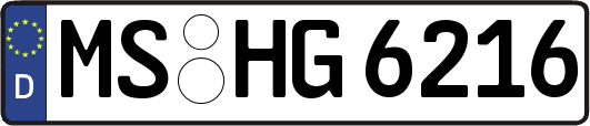 MS-HG6216