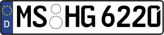 MS-HG6220