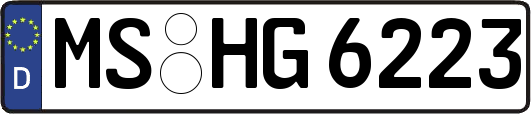 MS-HG6223