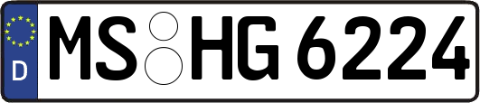 MS-HG6224