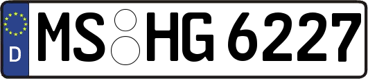 MS-HG6227