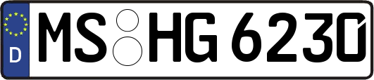 MS-HG6230