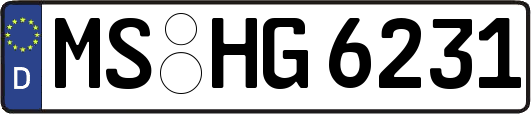 MS-HG6231