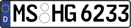 MS-HG6233