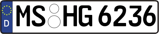 MS-HG6236