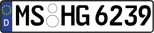 MS-HG6239