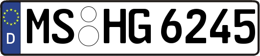MS-HG6245