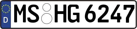 MS-HG6247