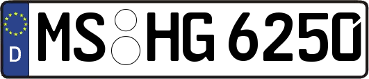 MS-HG6250