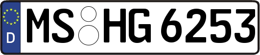 MS-HG6253