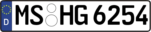 MS-HG6254