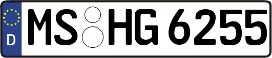 MS-HG6255