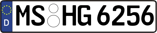 MS-HG6256