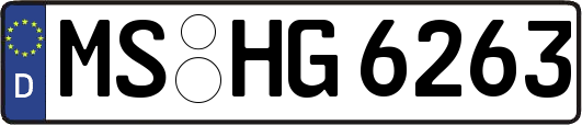 MS-HG6263