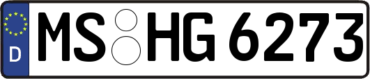 MS-HG6273