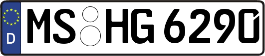 MS-HG6290