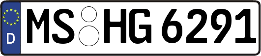 MS-HG6291