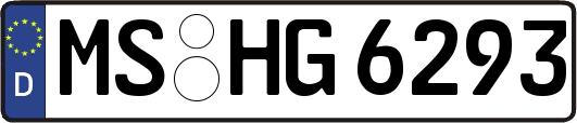 MS-HG6293