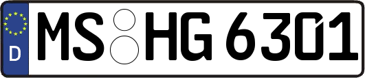 MS-HG6301