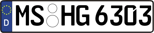 MS-HG6303