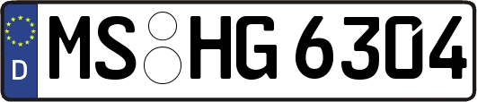 MS-HG6304