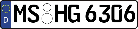 MS-HG6306
