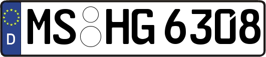 MS-HG6308