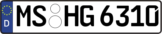 MS-HG6310