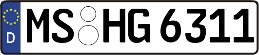 MS-HG6311