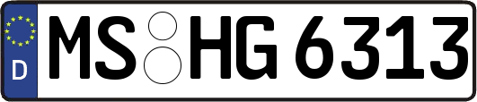 MS-HG6313