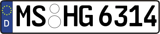 MS-HG6314